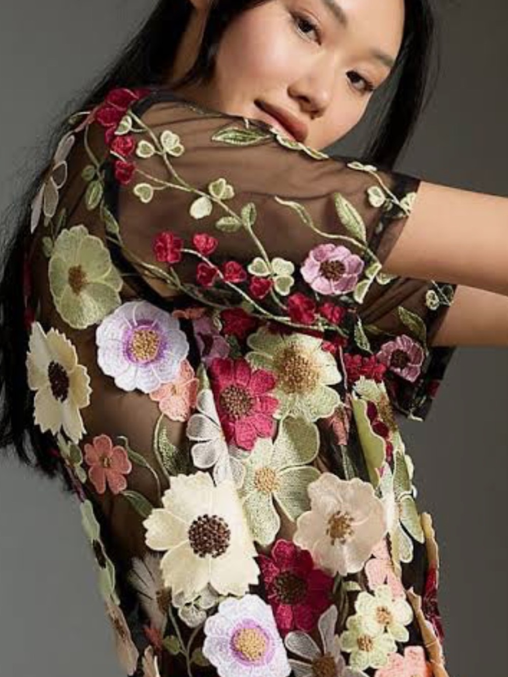 Anthropologie Dolan Left Coast Flower Appliqué Sheer Top